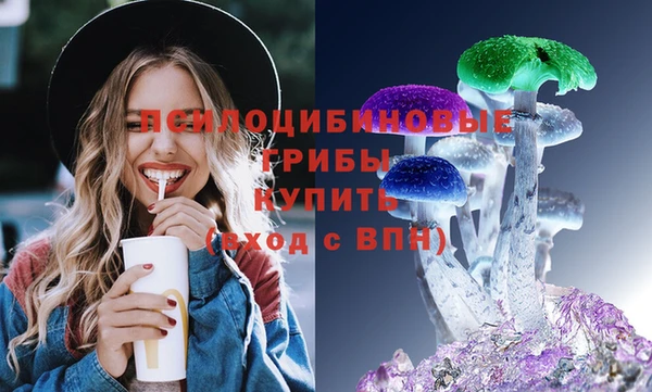 apvp Артём