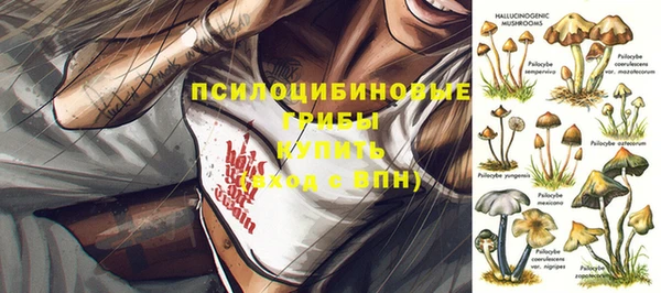 apvp Ачинск