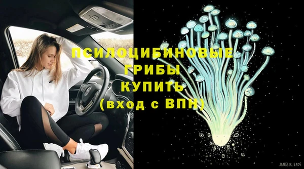 a pvp Бердск