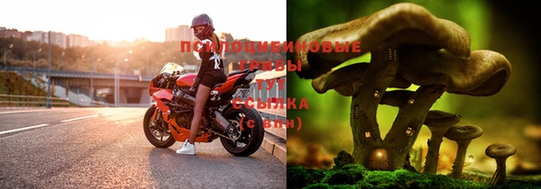 apvp Артём